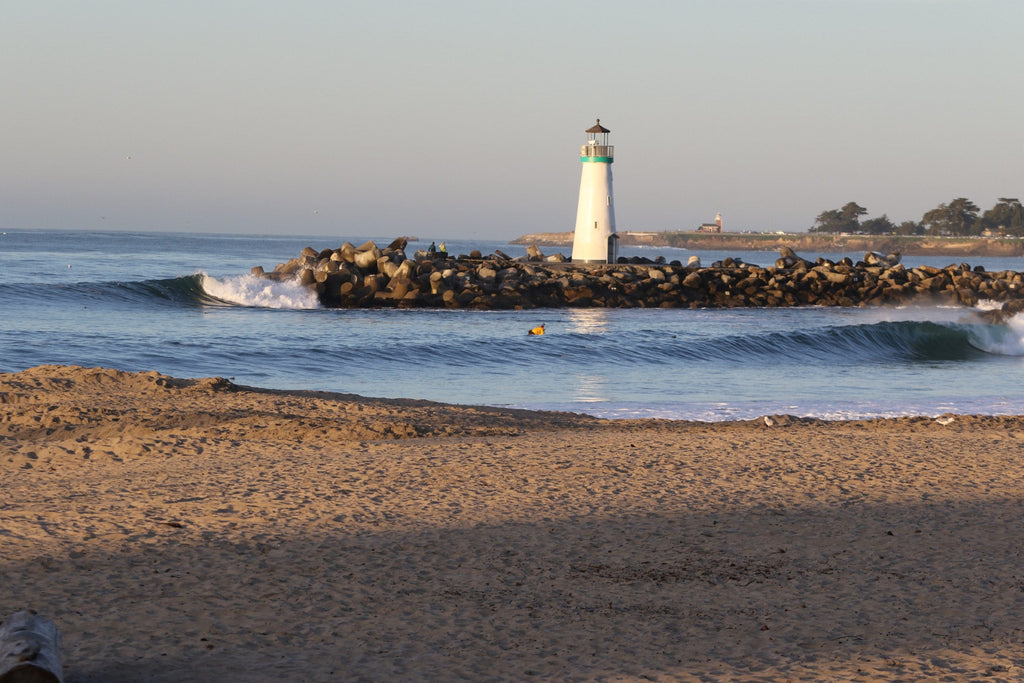 A lighthouse at the end of a rock breakwater with a small wave peeling beside it and a surfer in the water