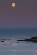 A moon rising over a calm sea at dusk