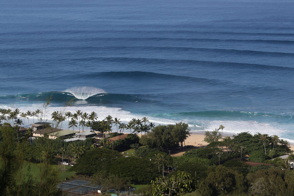 Long lines of swell approaching a palm-lined beach from above