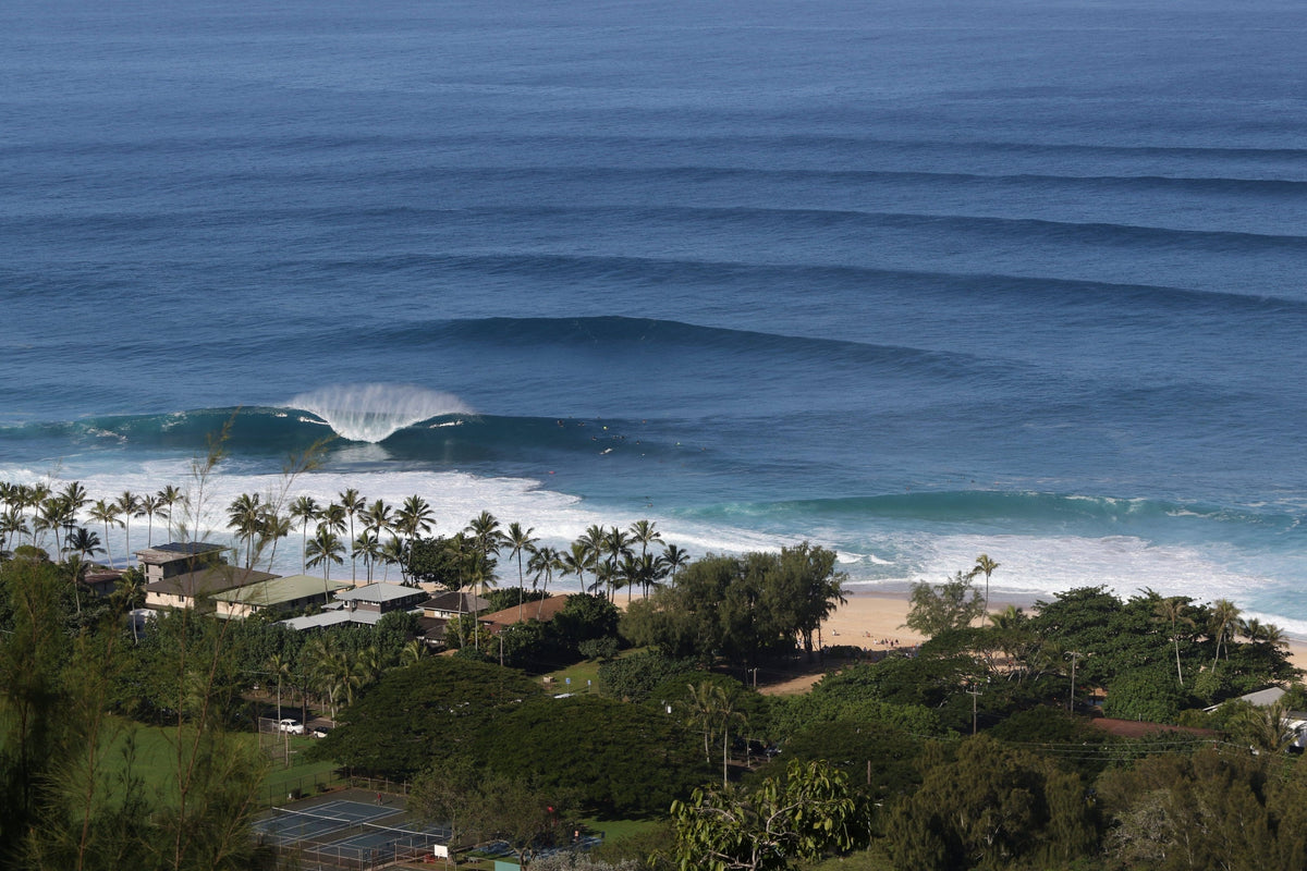 Long lines of swell approaching a palm-lined beach from above