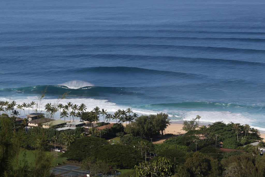 Lines of blue swell approaching a tropical shore with palm trees and houses