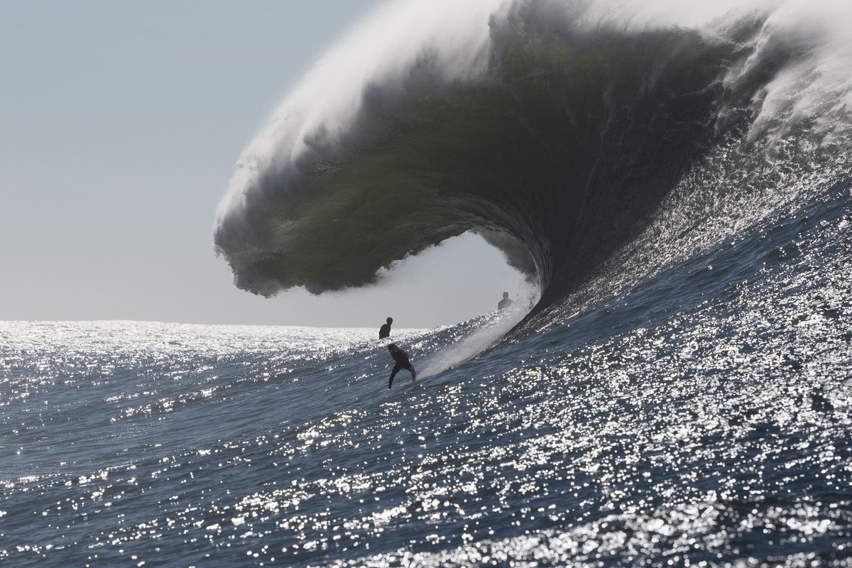 A massive wave curling over a sparkling silver ocean