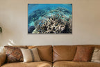 A coral reef full of bright blue fish seen from just below the surface shown large on the wall of a lived-in room
