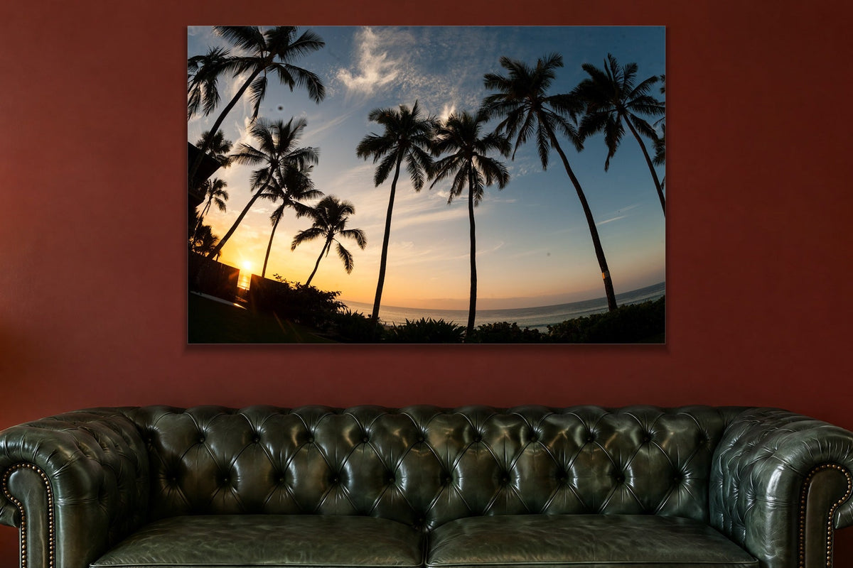 Palms at Dusk metal print hanging above furniture in a living space