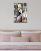 Pelican Eye