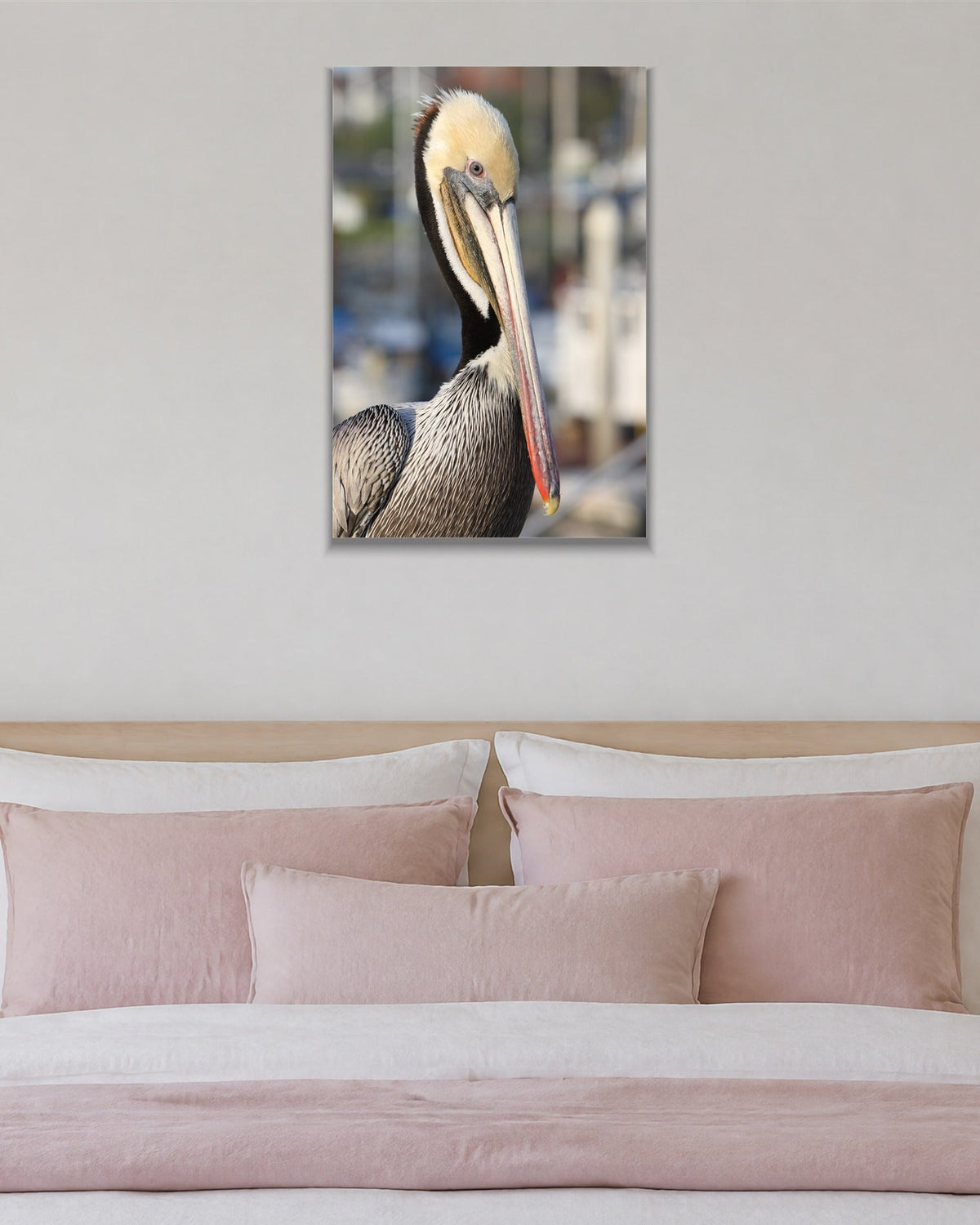 Pelican Eye