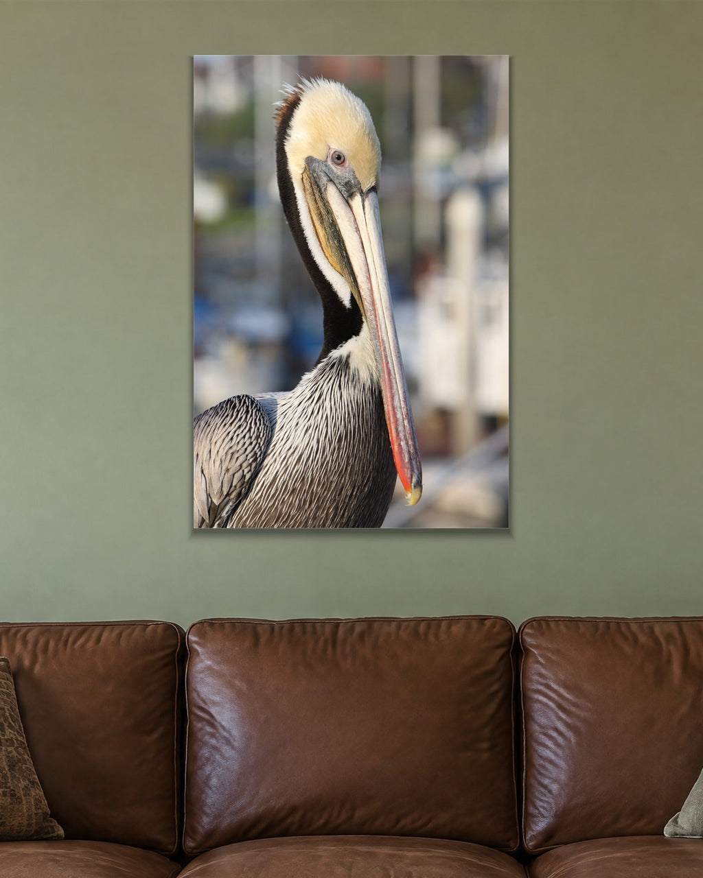 Pelican Eye