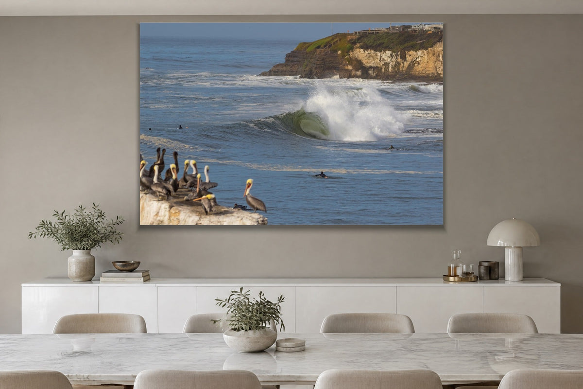 Pelicans on the Rocks metal print hanging above furniture in a living space
