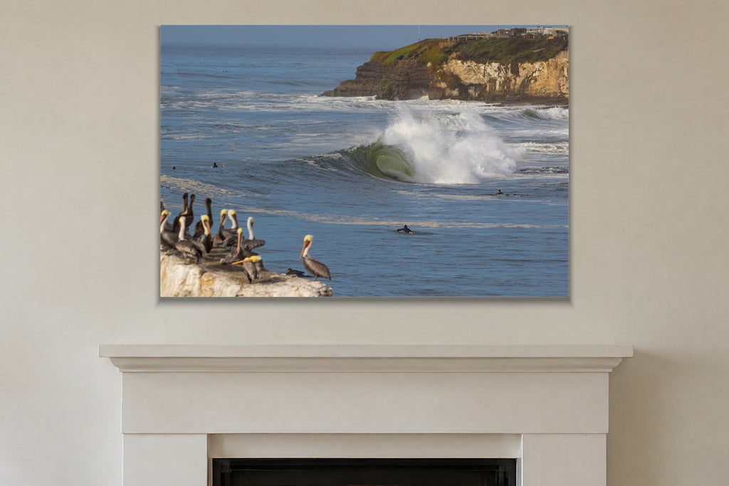 Pelicans on the Rocks metal print hanging above furniture in a living space