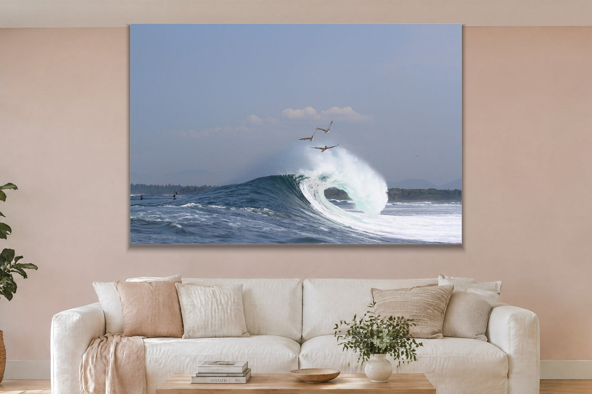 Three pelicans gliding above a wave as it curls and breaks shown large on the wall of a lived-in room