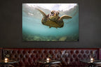 Sea Turtle metal print hanging above furniture in a living space