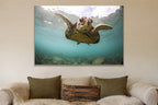 Sea Turtle metal print hanging above furniture in a living space