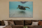 A sea turtle swimming over sand in clear turquoise water shown large on the wall of a lived-in room