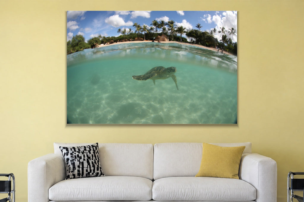 A sea turtle swimming under the surface with a palm-covered beach above the waterline shown large on the wall of a lived-in room