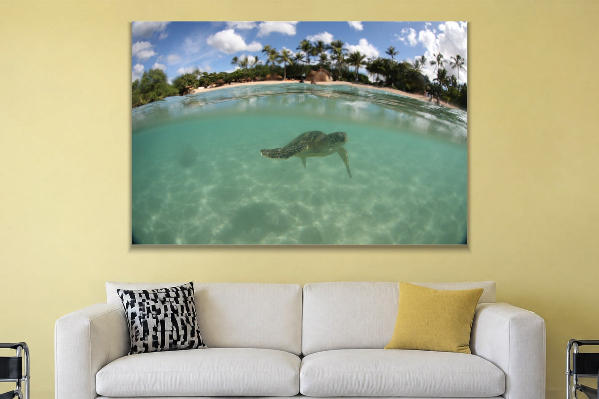 A sea turtle swimming under the surface with a palm-covered beach above the waterline shown large on the wall of a lived-in room