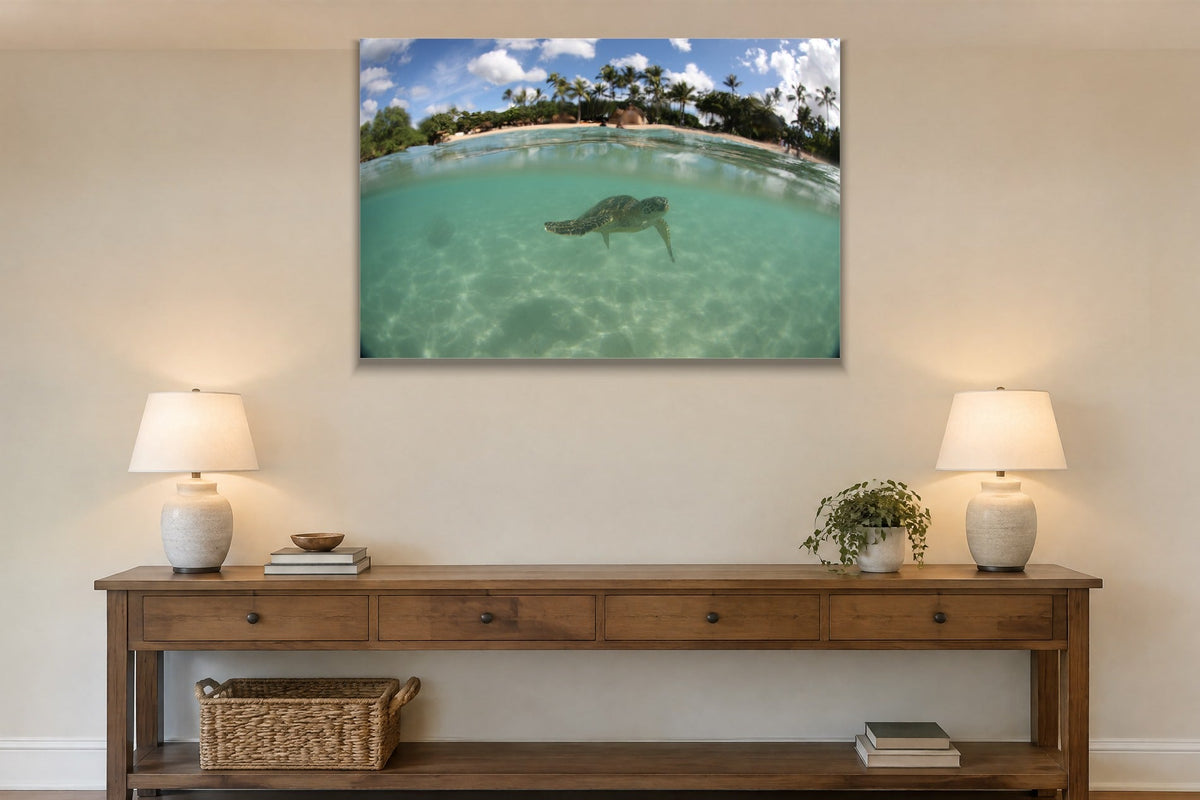 A sea turtle swimming under the surface with a palm-covered beach above the waterline shown large on the wall of a lived-in room