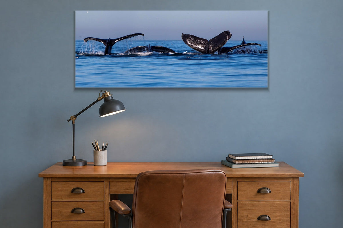 Whale Family metal print hanging above furniture in a living space