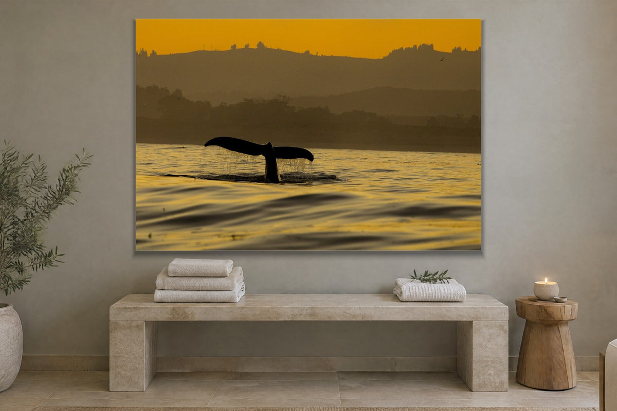 Whale Tail metal print hanging above furniture in a living space