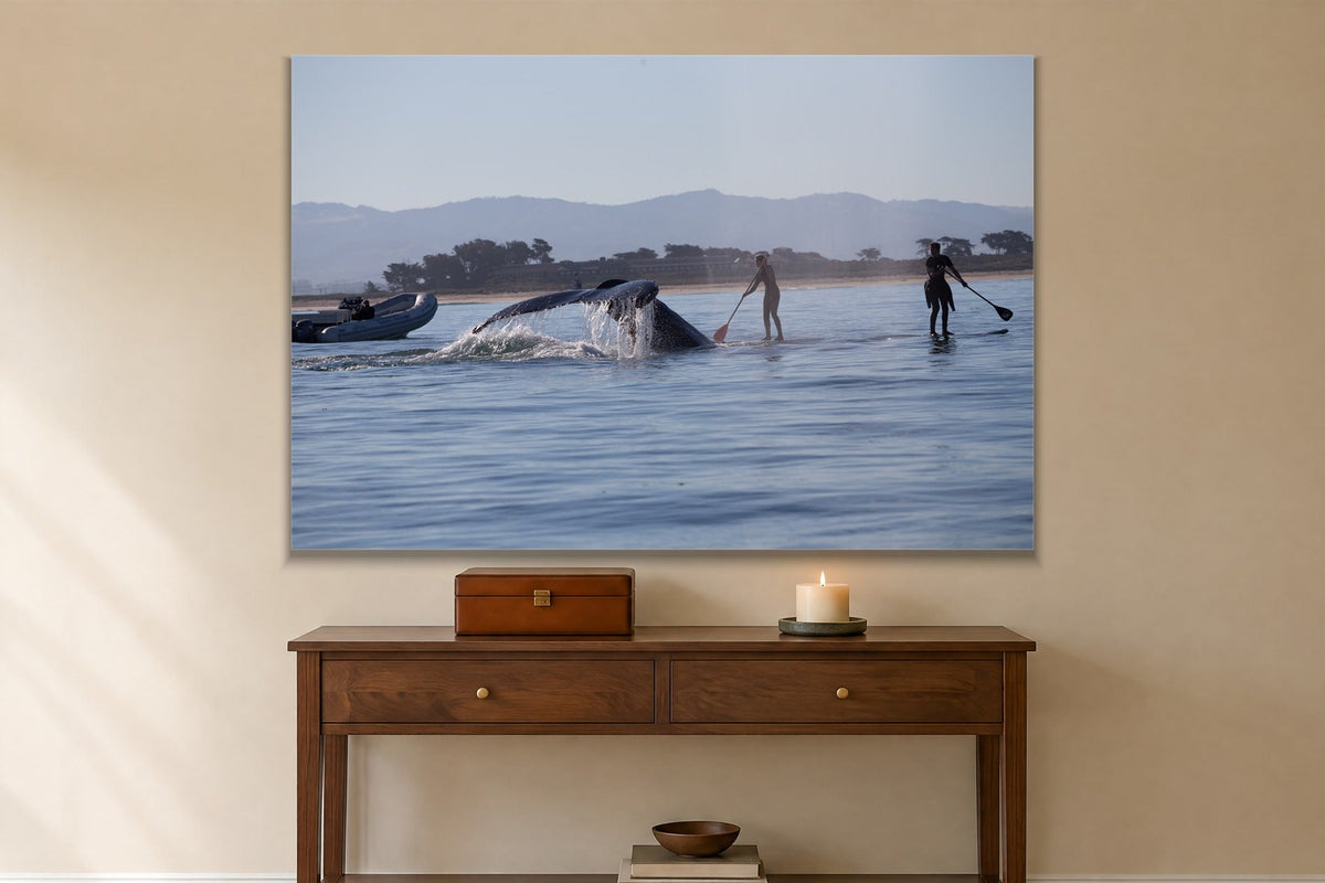 Whale Visit metal print hanging above furniture in a living space