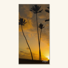 Palm Fire Beach Towel